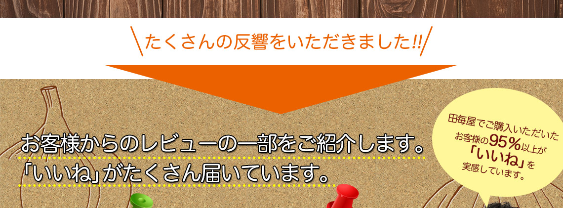 レビューの紹介