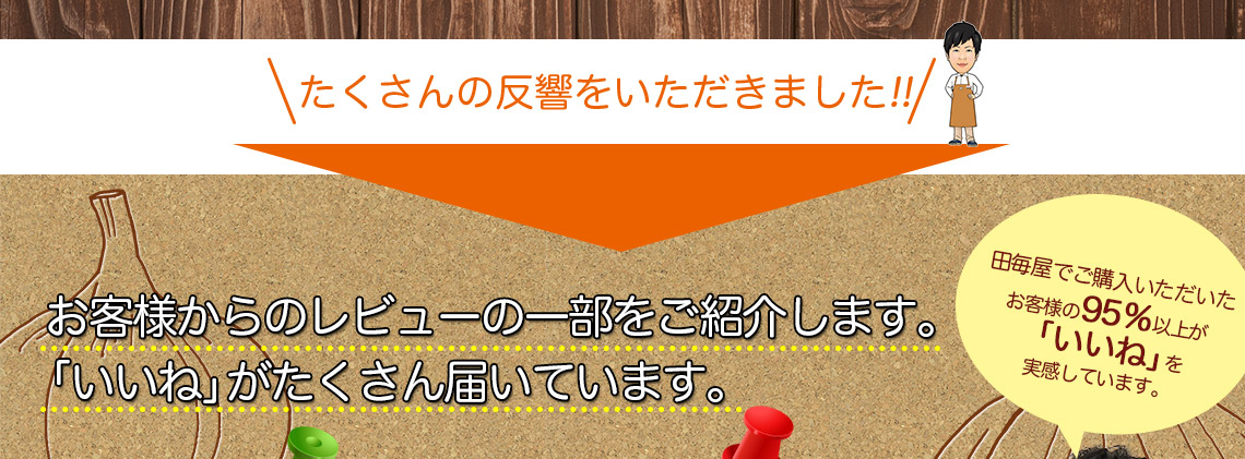 レビューの紹介
