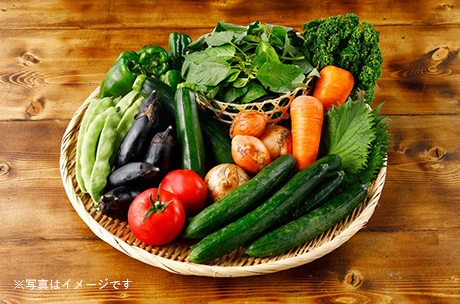 旬の野菜セットM（2～3人向け）